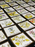 Load image into Gallery viewer, Virginia Native Plants Tea Towel
